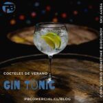 Lee más sobre el artículo Gin Tonic